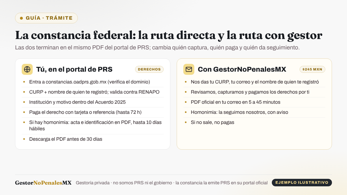 Comparación de las dos rutas para la constancia federal: tú mismo en el portal de PRS (dominio verificado, CURP y nombre del registrante, institución y motivo, pago de derechos, homonimia y descarga en 30 días) o con GestorNoPenalesMX (CURP, correo y nombre del registrante; capturamos, pagamos y entregamos el PDF en 5 a 45 minutos por $245 MXN).