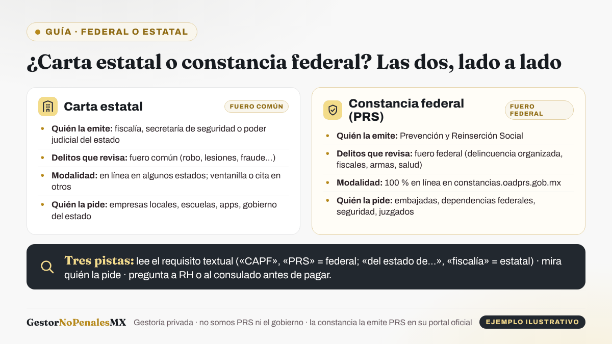 Comparación entre la carta estatal (fuero común; la emite la fiscalía, la secretaría de seguridad o el poder judicial del estado; la piden empresas, escuelas y apps) y la constancia federal de PRS (fuero federal; 100 % en línea; la piden embajadas, dependencias, seguridad y juzgados), con tres pistas para saber cuál te pidieron.