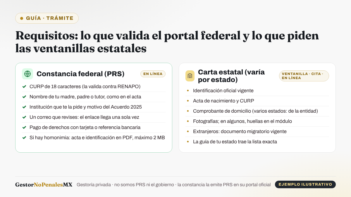 Lista de requisitos de la constancia federal (CURP, nombre del registrante, institución y motivo, correo, pago de derechos y documentos en caso de homonimia) frente a los de la carta estatal (identificación vigente, acta y CURP, comprobante de domicilio, fotografías o huellas y documento migratorio para extranjeros).