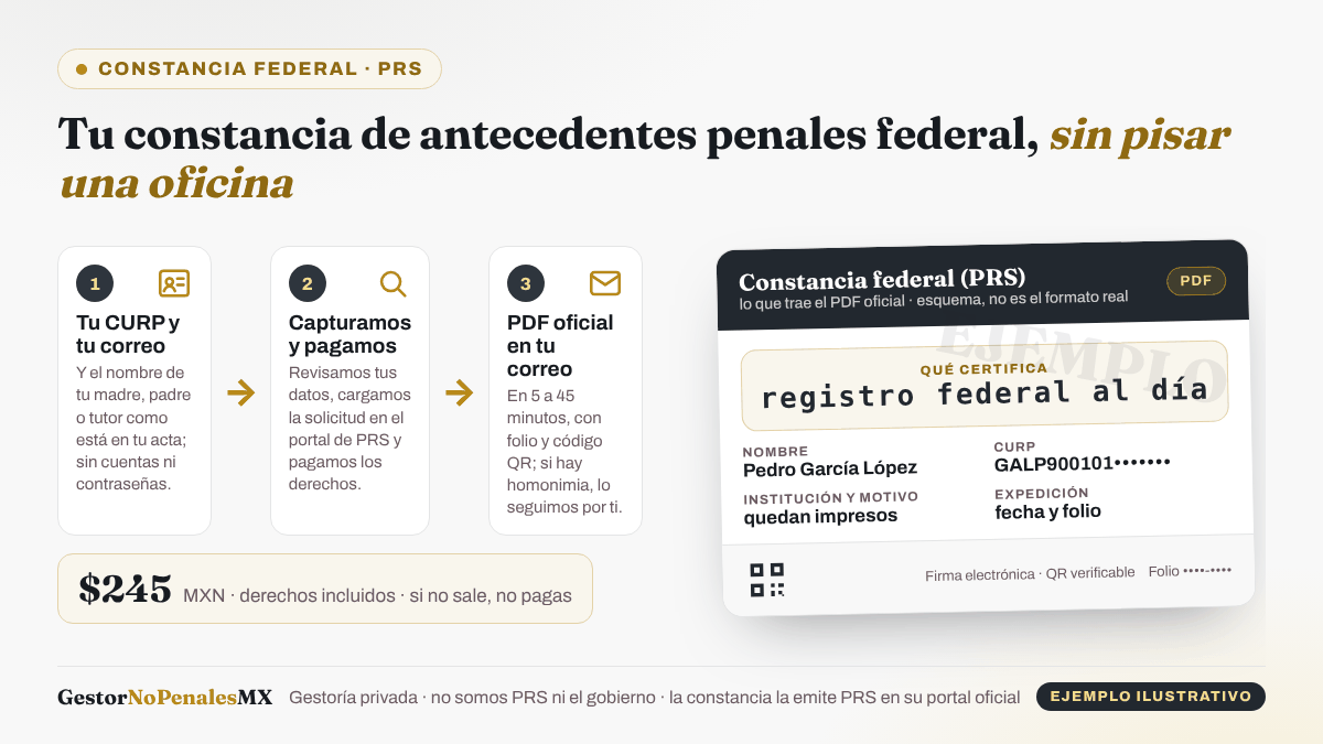 Esquema del trámite de la constancia de antecedentes penales federal con GestorNoPenalesMX: con tu CURP, tu correo y el nombre de quien te registró, capturamos y pagamos la solicitud en el portal de PRS y el PDF oficial con folio y código QR llega a tu correo en 5 a 45 minutos; $245 MXN con derechos incluidos. Ejemplo ilustrativo con datos ficticios.